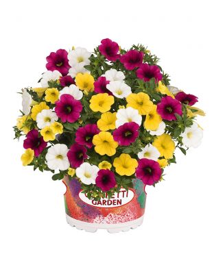 Confetti Hawaiian Hana 3 kpl