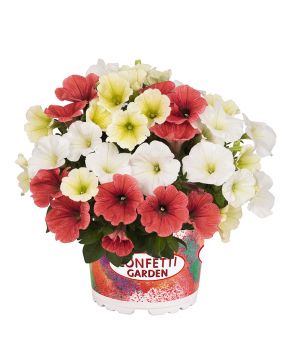 Confetti Tropical Sun 3 kpl