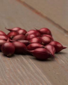 Punasipuli Red Baron 500 g