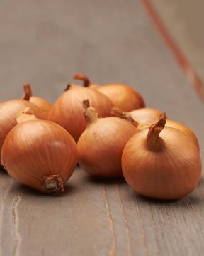 Salottisipuli 500 g