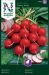 Retiisi Cherry Belle