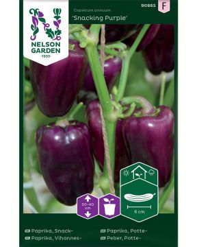 Vihannespaprika Snacking Purple