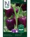 Vihannespaprika Snacking Purple