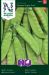 Sokeriherne Oregon Sugar Pod