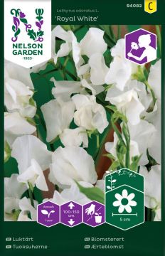 Tuoksuherne Royal White