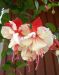 Verenpisara mix