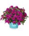 Kerrattu miljoonakello Double Purple