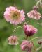 Kellukka Pink Fluffy 3 kpl
