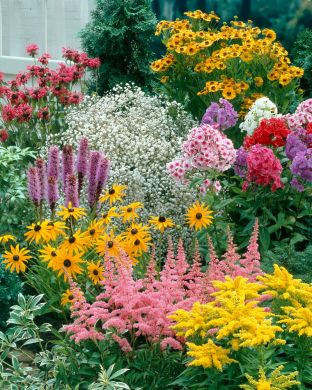 Perenna mix 18 kpl