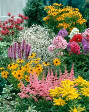 Perenna mix 18 kpl