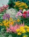 Perenna mix 18 kpl