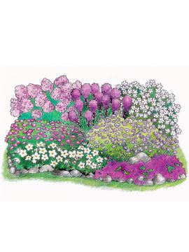 Purppurailta 2 -perennapenkki 23 kpl