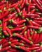 Chilipaprika Demon Red