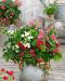 Mansikka Summer Breeze mix 3 kpl