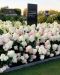 Japaninhortensia Living Strawberry Blossom
