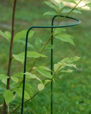 Perennatuki 70 cm 3 kpl