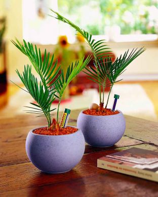 Seramis kastelumittari 30 cm 2 kpl