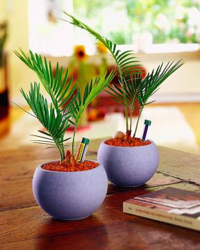 Seramis kastelumittari 30 cm 2 kpl