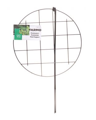 Tarmo perennatuki 70 cm