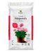 Kekkilä Pelargonimulta 15 l