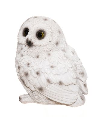 Pöllö valkoinen