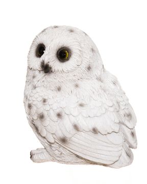 Pöllö valkoinen