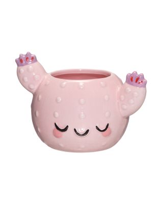Ruukku Cactus pinkki