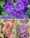 Cottage garden -perennalajitelma 11 kpl