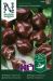 Havannapaprika Habanero Chocolate