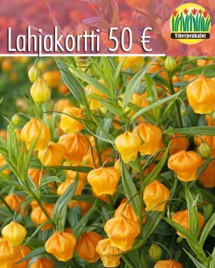 Lahjakortti 50