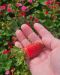 Mansikka Summer Breeze Cherry 5 kpl