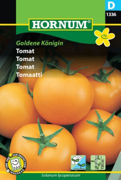 Tomaatti Goldene Königin