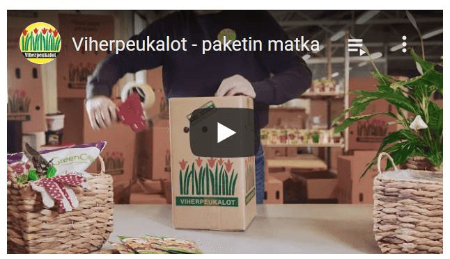 Video paketinmatka